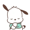 Pochacco,Come On !🐾✨ 15