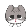 Gatinhos  12