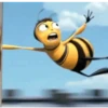 Bee Movie GIFs 8