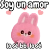 🐰Conejito Cute expresivo 🐇🩷 17