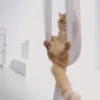 Animaizinhos fofos 11