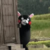💫 Oso kumamon cute ❣️ 10