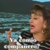 Ya comio compañero?