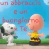 Buongiorno  8