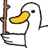 Random Pato🦆 13