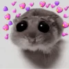 ❦̷ ⃝⃔❤⃪ᭂƘ⃪Cɦeᥲ𝛛ᥲ᬴᭄⃕͜
Hamster 6