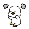 Patos 6 29