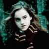 GIFs Harry Potter 17