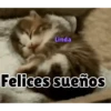 Axy Linda San-Fre 2026 (7) 13