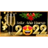 Feliz año 2022 8