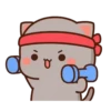 🍑 Gatos Peach y Goma 😻🫶🏻 7