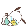Pochacco,Come On !🐾✨ 17