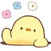 🐥 Pollito🐥 10