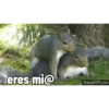 Tierno y malo 24