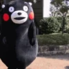 💫 Oso kumamon cute ❣️ 11