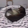 😻🐈‍⬛ Cats 5 M Tiktok 📱 13