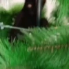 🧿La Gata Loca Tik Tok🐈‍⬛😵‍💫 6