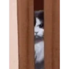 Trending GIF memes 8