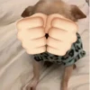 Mood molestar 8