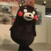💫 Oso kumamon cute ❣️ 17