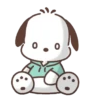 Pochacco,Come On !🐾✨ 18