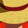 Monkey D. Luffy 19