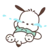 Pochacco,Come On !🐾✨ 9