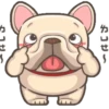 Dog 6