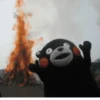 💫 Oso kumamon cute ❣️ 28