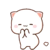 Gif kucing terbaru 15