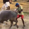Amor de Corraleja 🇨🇴❤️‍🔥🐂 24