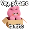 🐰Conejito Cute expresivo 🐇🩷 6