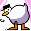 Random Pato🦆 12