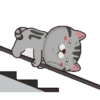Kucing gemoy 1 30
