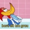 PICA PAU 🪾 WOODY WOODPECKER 10