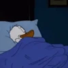 Pato Donald Time🦆✨ 5