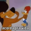 Pica pau nervoso 5