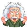 Albert Einstein 14