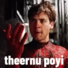 theernu poyi