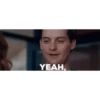 Tobey maguire spider man 28