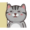 Kucing gemoy 1 14