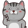 Kucing gemoy 1 18