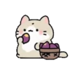 Animasi kucing lucu 6