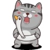 Kucing gemoy 1 17