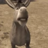 Risas 3 🔥 TIKTOK 😂 29