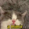 15 figurinhas pra você! 14