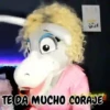 Burrita Burrona 10