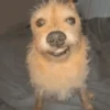 ANIMALITOS 🥺😍 20