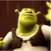 Shrek MEMES 💚 12