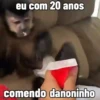 🐒 Macaco | Deboche Sincerão 14